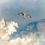 縁起のいい日に宝くじを買って一発逆転！2023年12月、2024年の金運アップ術