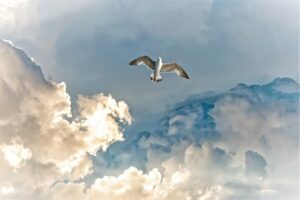 縁起のいい日に宝くじを買って一発逆転！2023年12月、2024年の金運アップ術